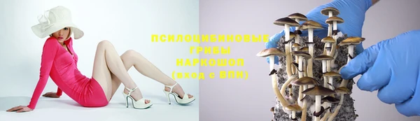 дурь Приозерск