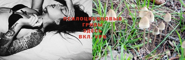дурь Приозерск