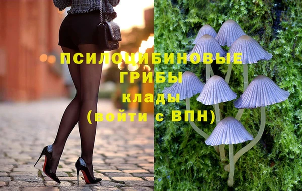 сатива Протвино