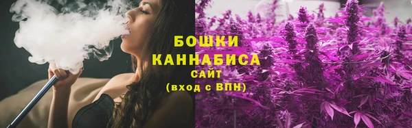 сатива Протвино