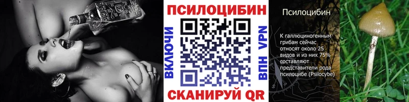 дарнет шоп  Краснозаводск  нарко площадка наркотические препараты  Галлюциногенные грибы Magic Shrooms 